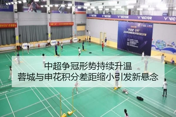 中超争冠形势持续升温 蓉城与申花积分差距缩小引发新悬念（milan.com）